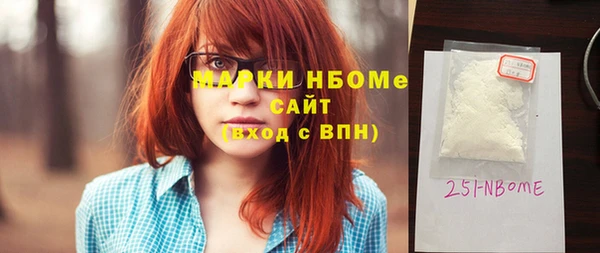 молекула духа Чердынь