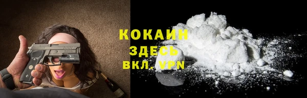молекула духа Чердынь