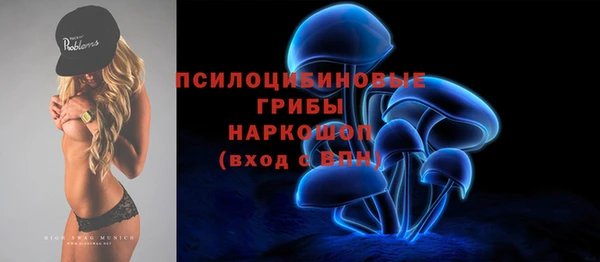 спайс Чекалин